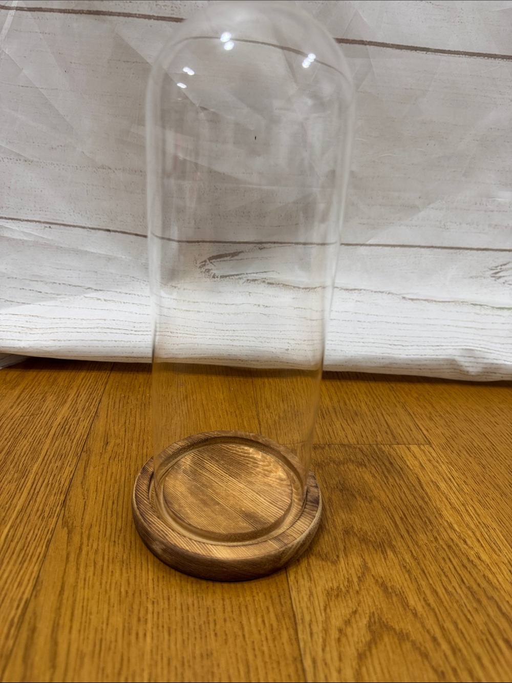 Glass Cloche with Wooden Base
